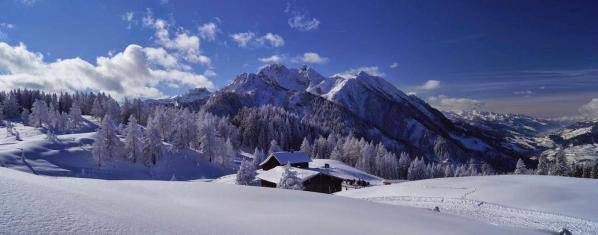 siegi tours ski board holidays austria