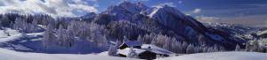 siegi tours ski holidays austria