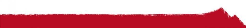 footer-newsletter