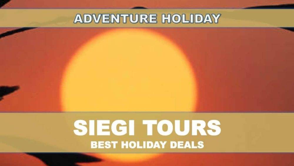 Zip Line Adventure Salzburg Siegi Tours Holidays