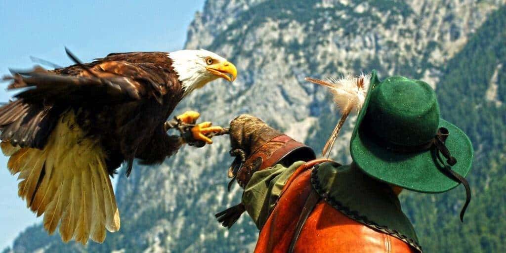 Hoenwerfen Fortress eagles show