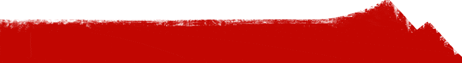SIEGI TOURS footer